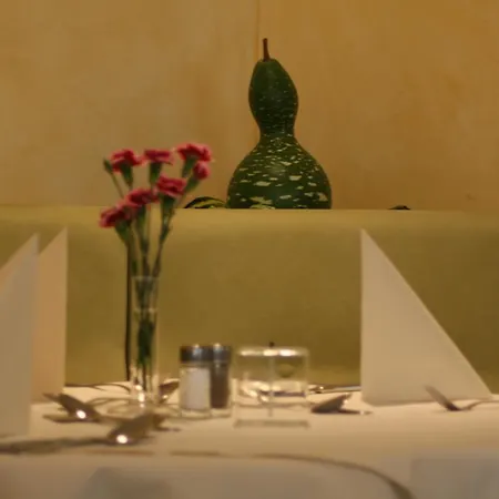 Hotel Parkhotel Bad Schallerbach